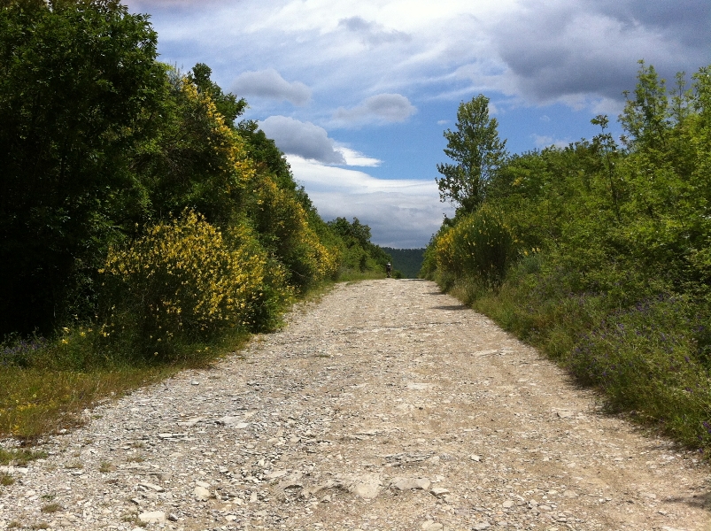 Escursione in mountain bike nel mugello e al lago di bilancino e alla fortezza medicea di s. martino. partenza da S. Piero a Sieve